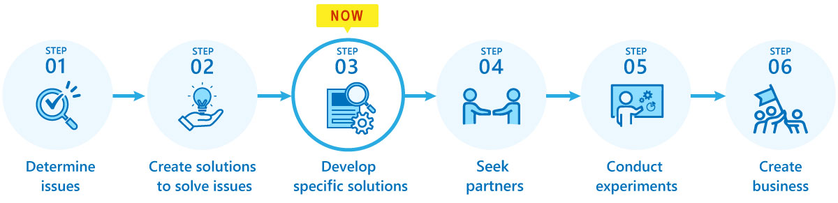 step1,Determine issues→step2,Create solutions to solve issues→NOWstep3,Develop specific solutions→step4,Seek partners→step5,Conduct experiments→step6,Create business