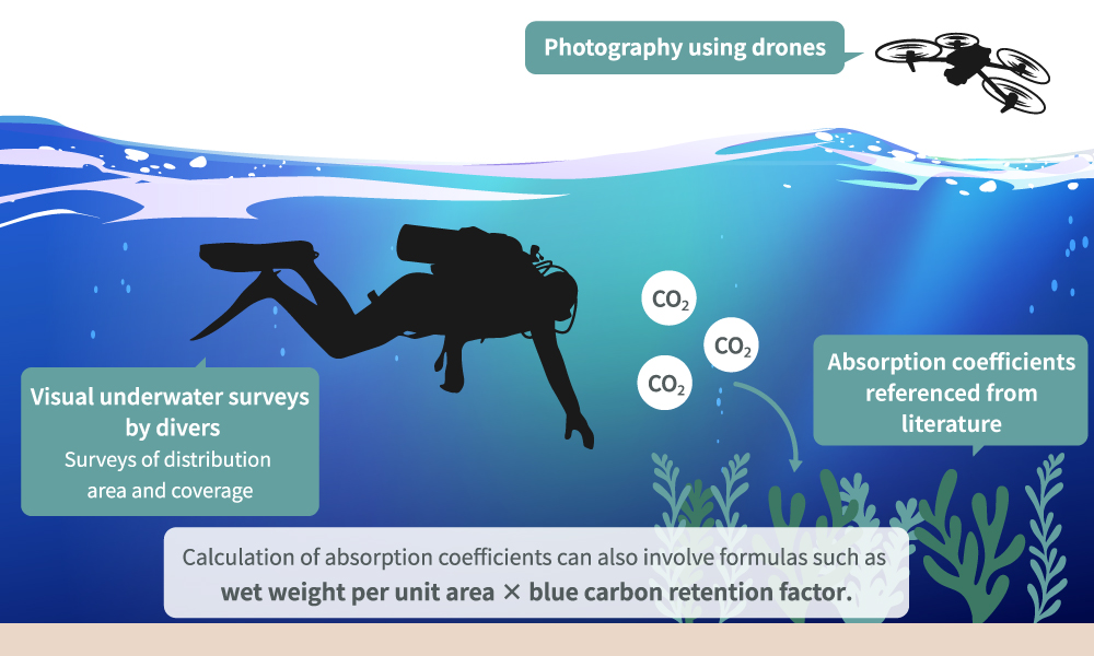 A illustration of current main methods for evaluation of seaweed beds