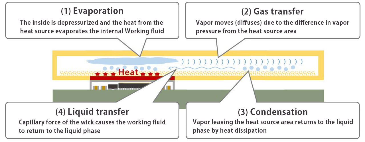Heat transport cycle in a vapor chamber