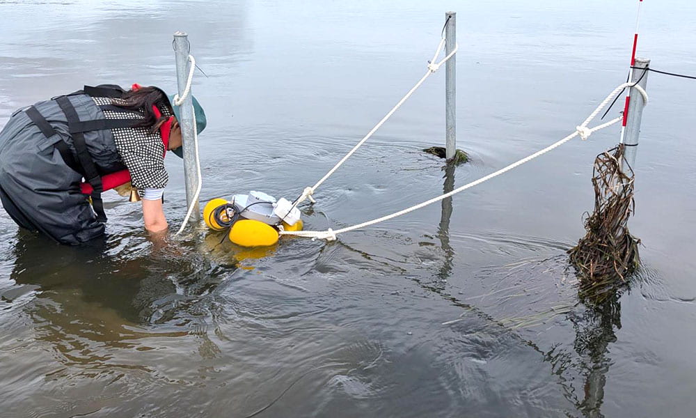 テストをするスタッフ