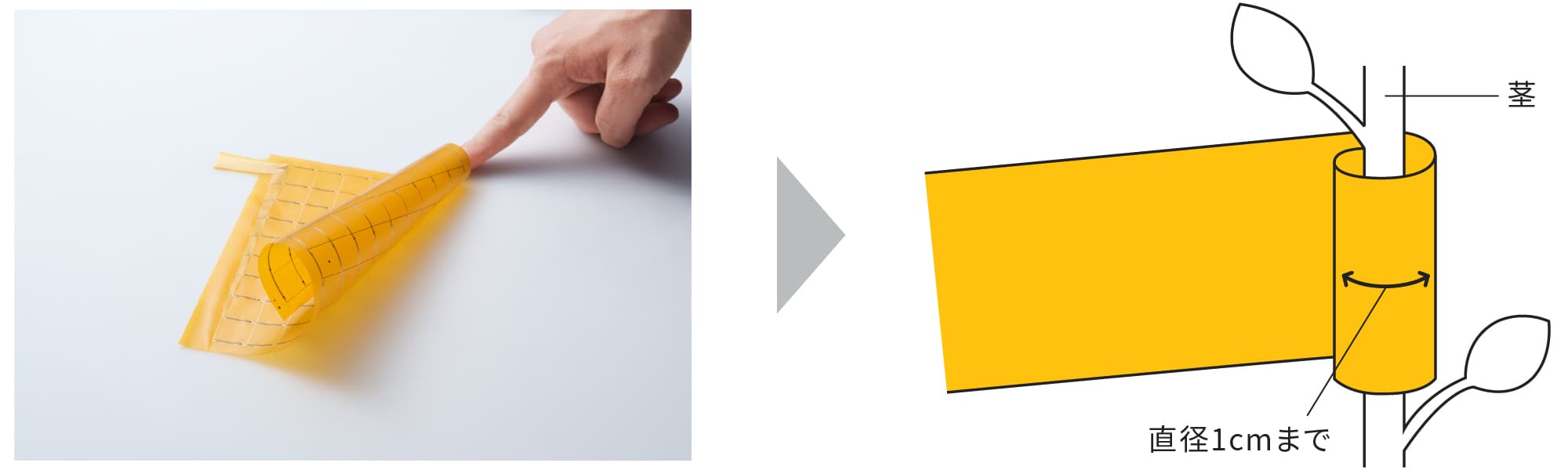 フィルムサーミスタを折り曲げた画像