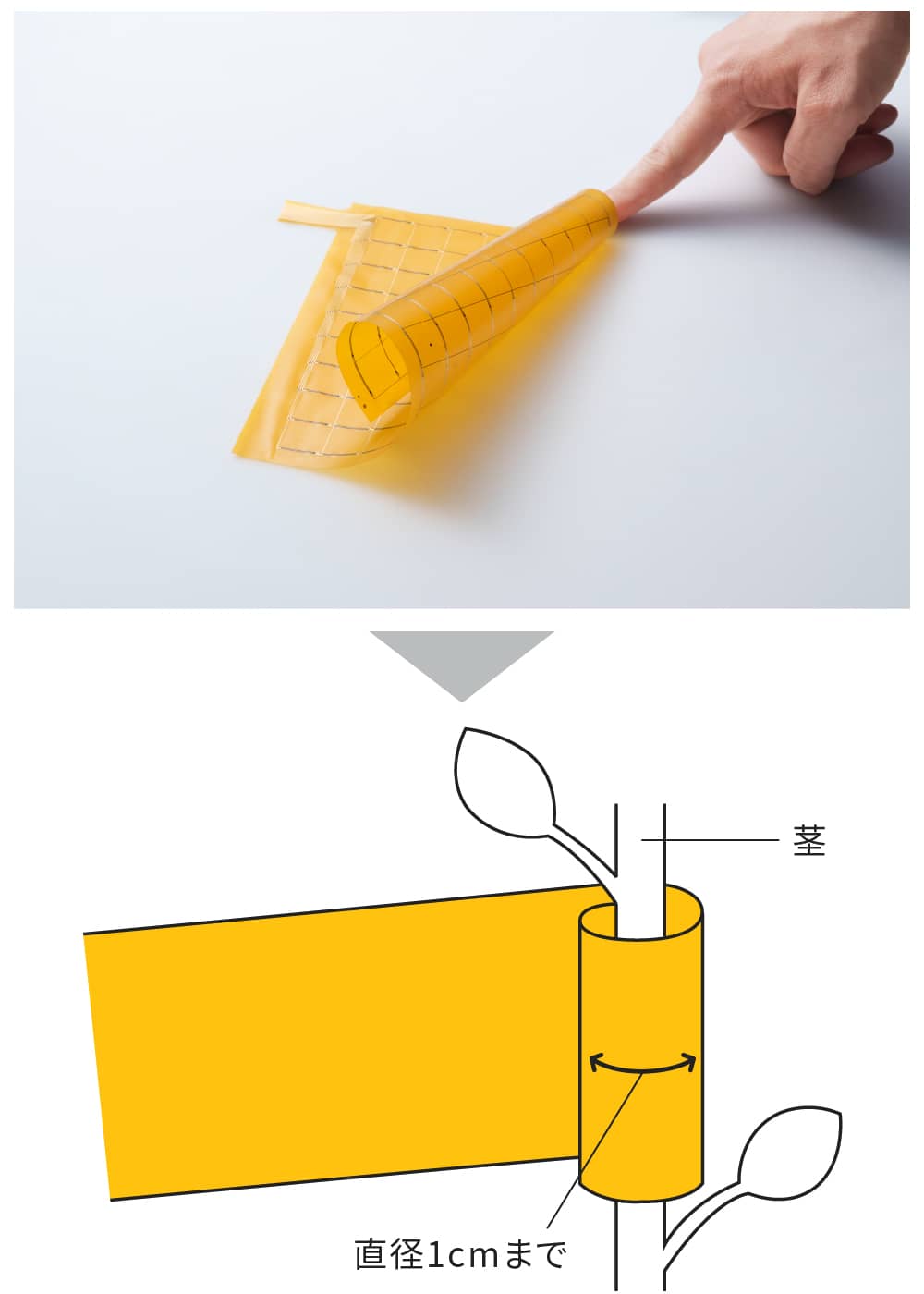 フィルムサーミスタを折り曲げた画像