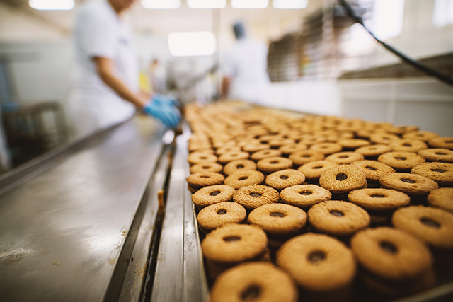 食品工場のライン作業イメージ
