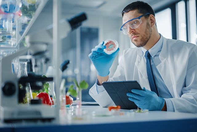 検査を行うイメージ