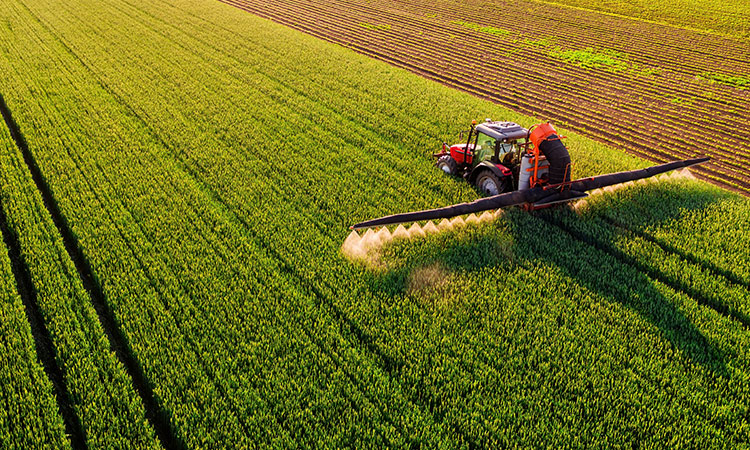 Image of agriculture